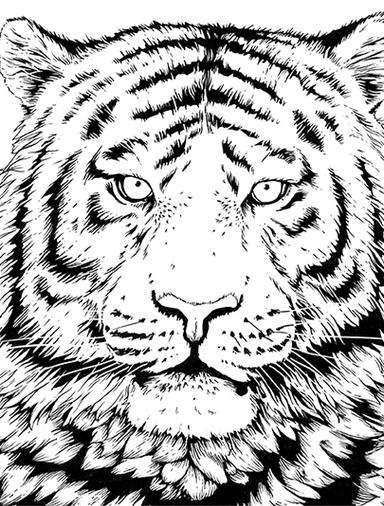 Tiger Coloring pages WWF