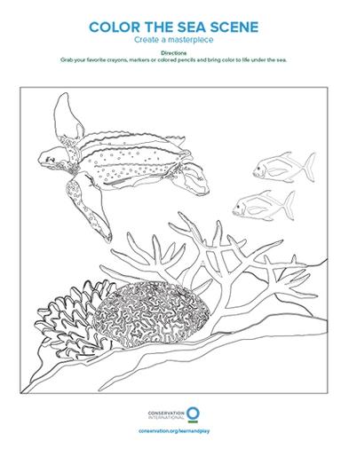 Color the Sea Scene Coloring page Conservation International