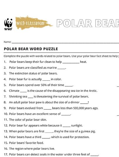 Polar Bear