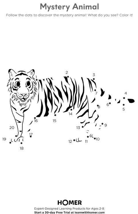 Mystery Animal - Tiger