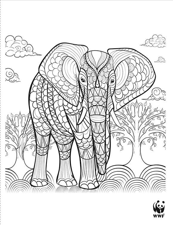 Printables - Elephant | HP® Official Site