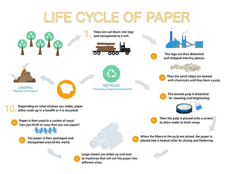 Life Cycle of Paper - Ages 9-12
