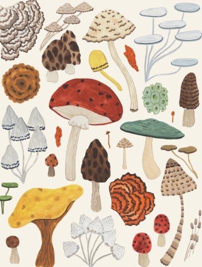 Mushroom Botanical
