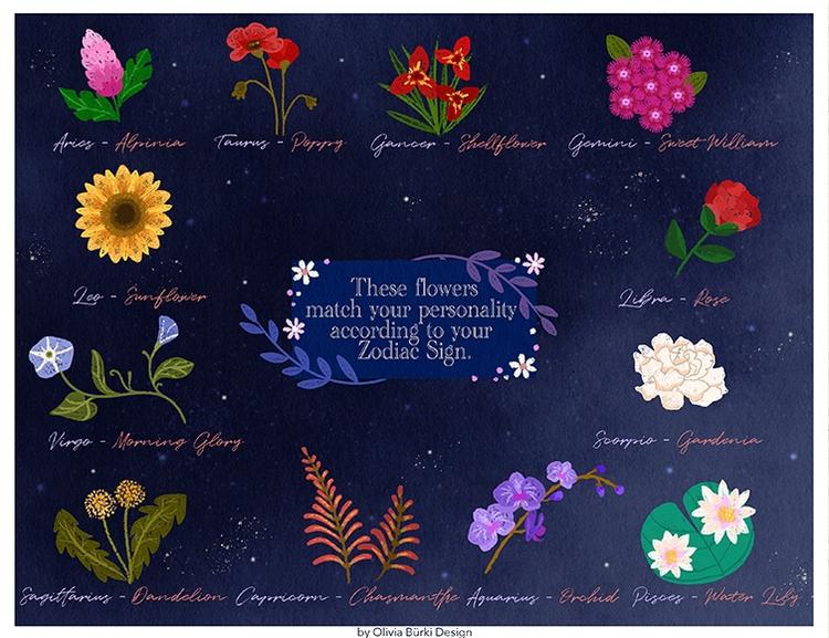 Astrology Placemat