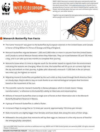 Monarch Butterflies Fun Facts