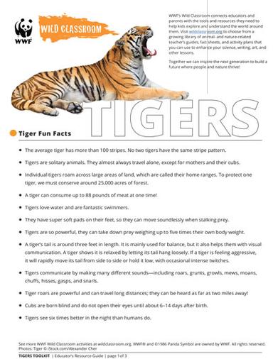 WWF Tiger Fun Facts Worksheet