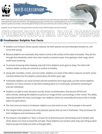 Freshwater Dolphins Fun Facts