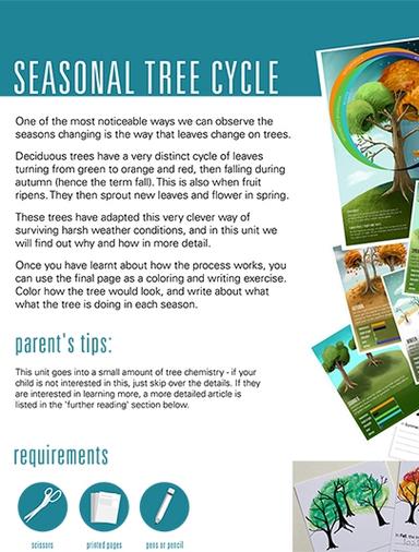 Seasonal Tree Cycle Ages 9-12 Learning Worksheets School of Fun Series