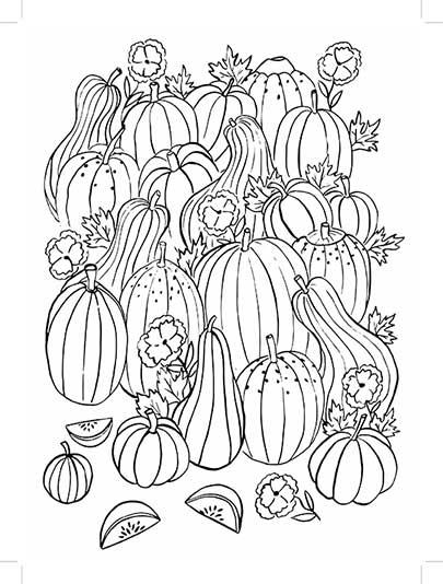 Festive Feast of Coloring Gourds
