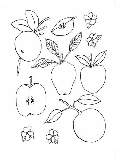 Festive Feast of Coloring Apples