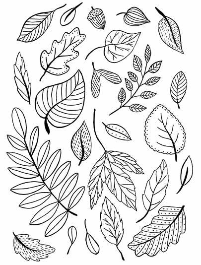 Festive Feast of Coloring Leaves