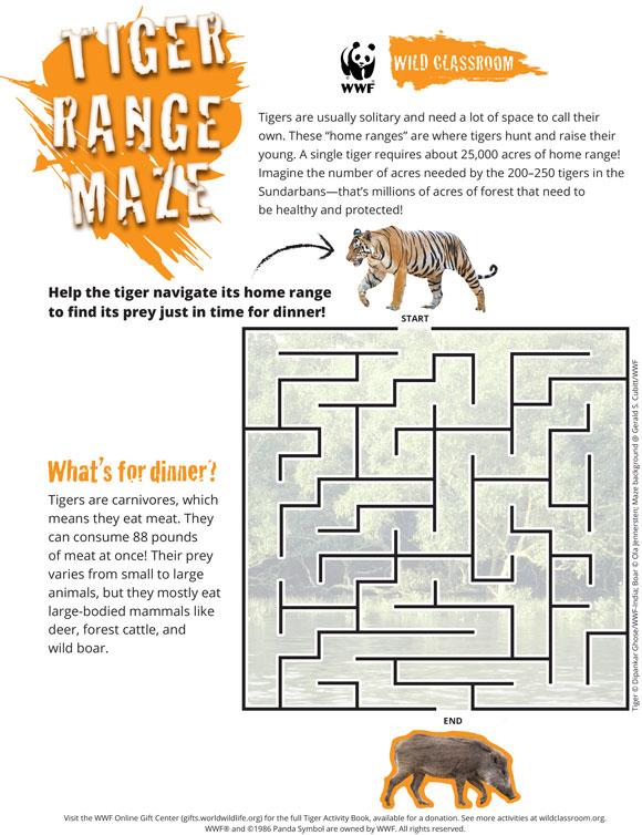 Tiger Range Maze