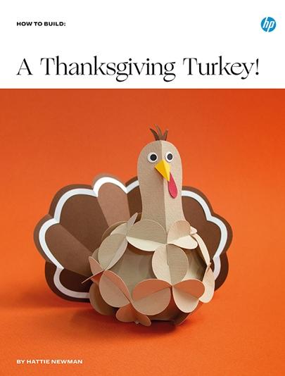 A Thanksgiving Turkey! 