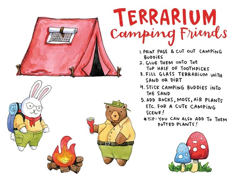 Amigos do Terrarium Camping