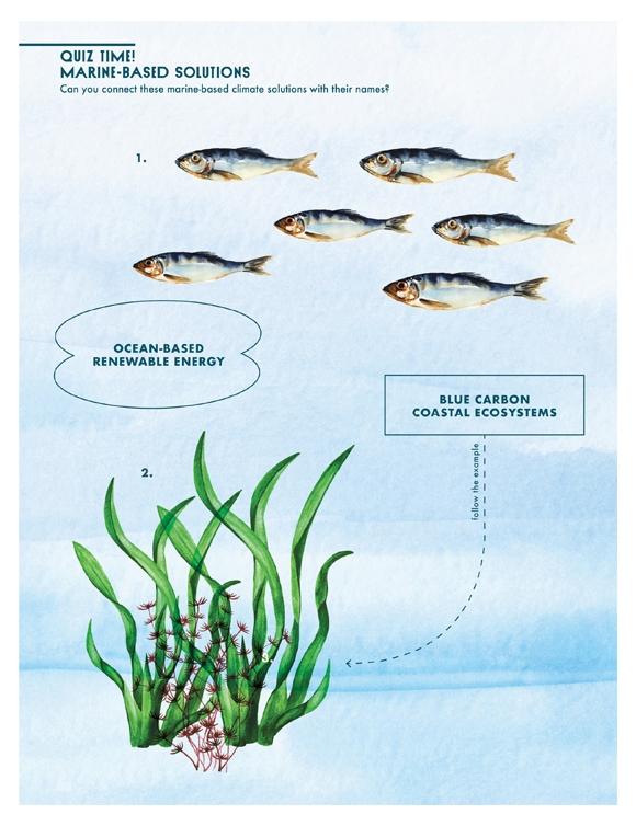 Marine Based Solutions Quiz