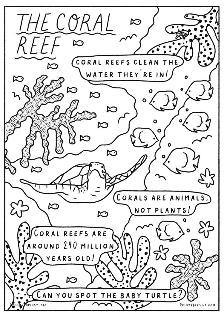 Coral Reef Fact Sheet