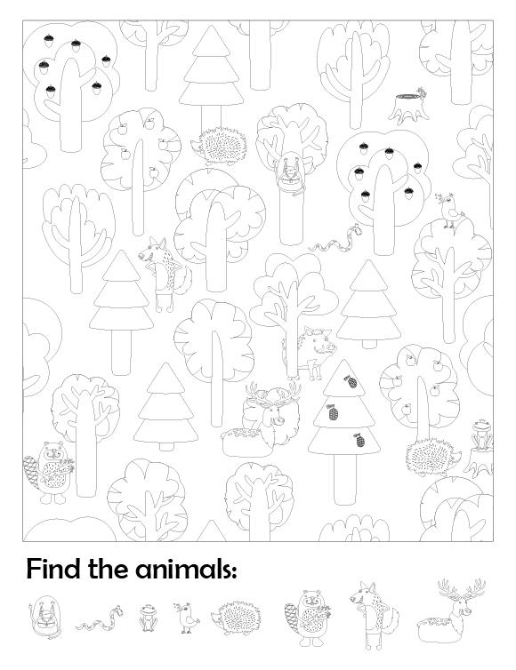 Coloring Page Hidden Object Game-Animals
