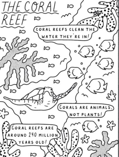 Coral Reef Fact Sheet