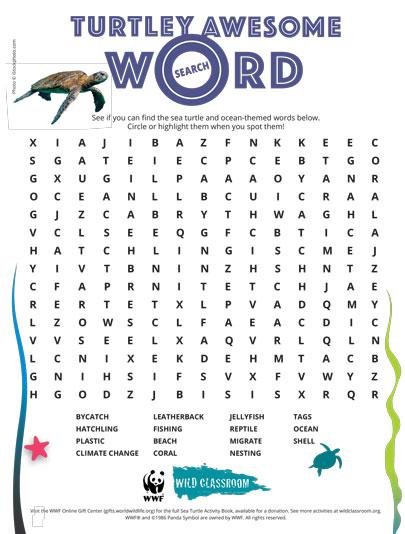 Turtley Awesome Wordsearch Worksheet