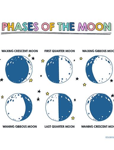 Phases of the Moon Learning Worksheet Goldieblox