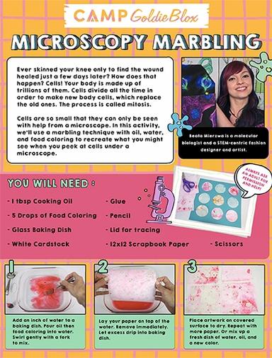 Microscopy Marbeling Learning Worksheet Goldieblox