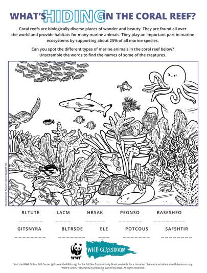 Ocean Coral Reef Worksheet and Coloring Page