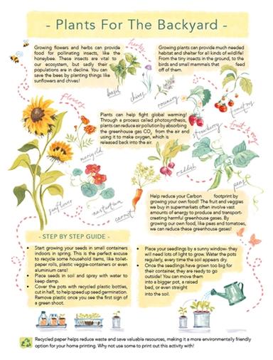 Plants for the Backyard Learning Worksheet Sustainability Series