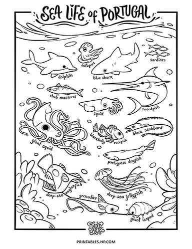 Sea Life of Portugal Coloring Page MadieArts