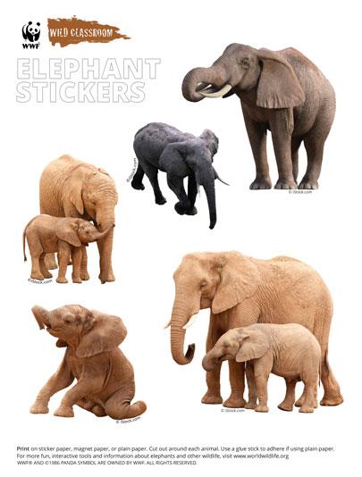 Animal Stickers - Elephants