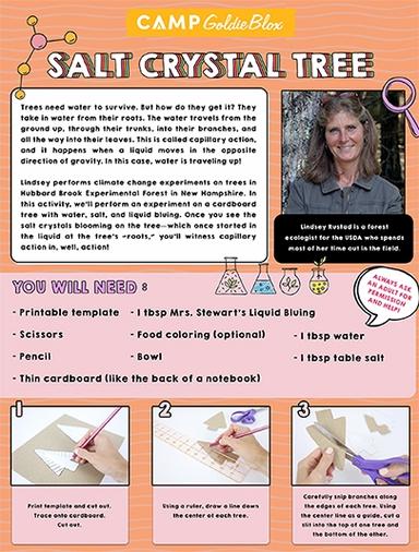 Salt Crystal Tree Learning Worksheet Goldieblox
