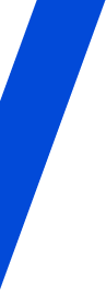 Ribbon