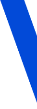 Ribbon